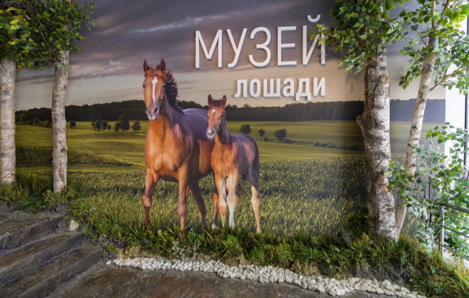 Стандартная экскурсия по Интерактивной экспозиции “Музей Лошади”